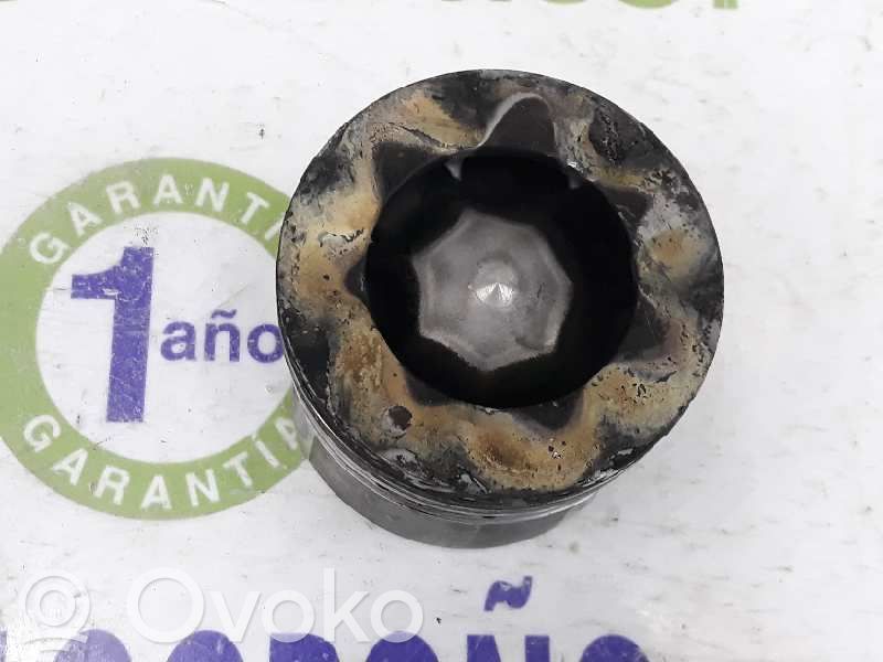 Pistón   11257812567,11257812567