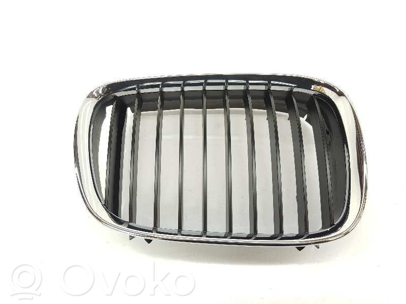BMW 5 E39 Front grill 