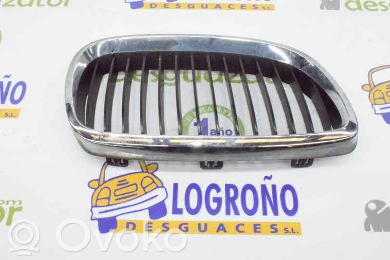 BMW 3 E92 E93 Front grill 