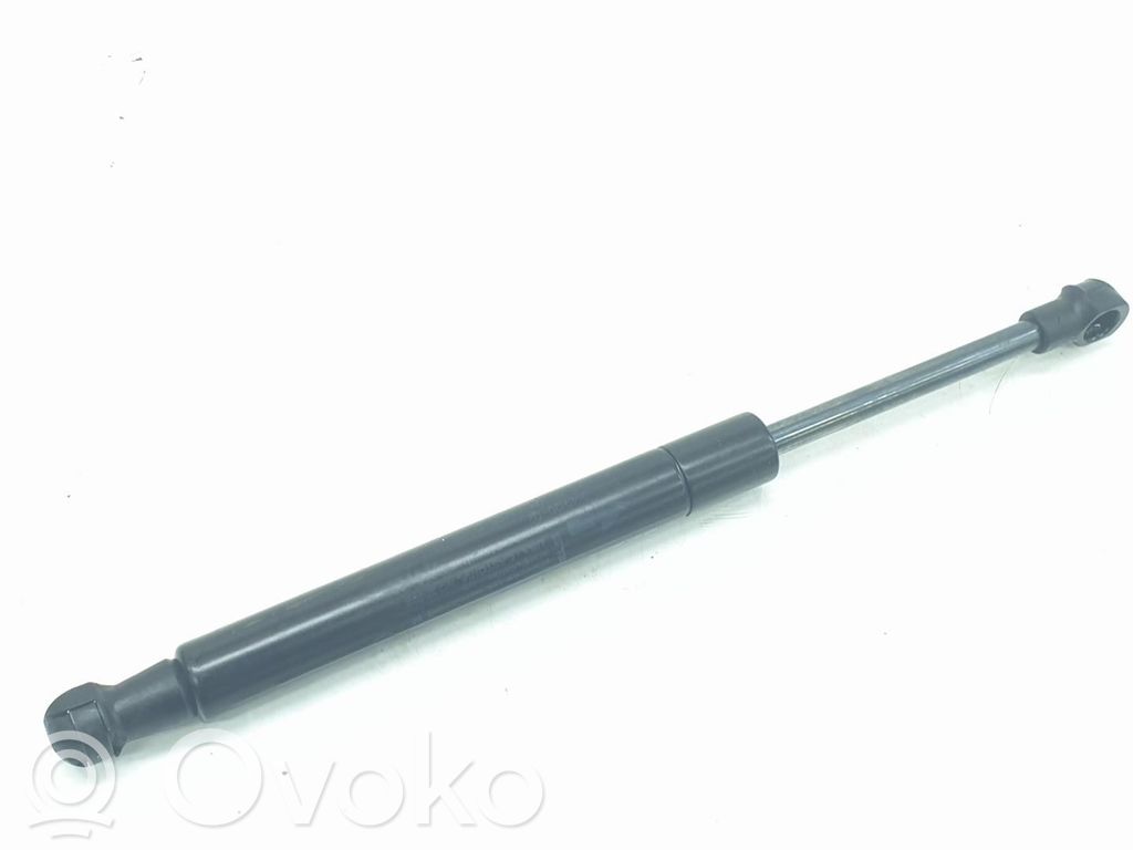 BMW X6 E71 Tailgate/trunk strut/damper 