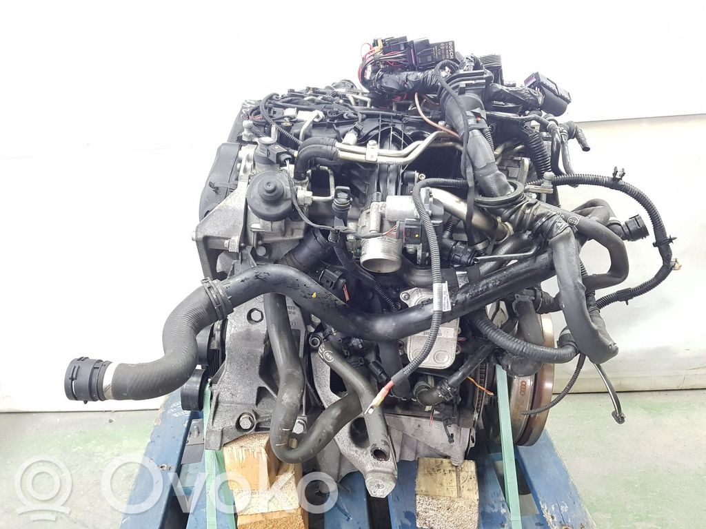 Motor   CJCD,CJC