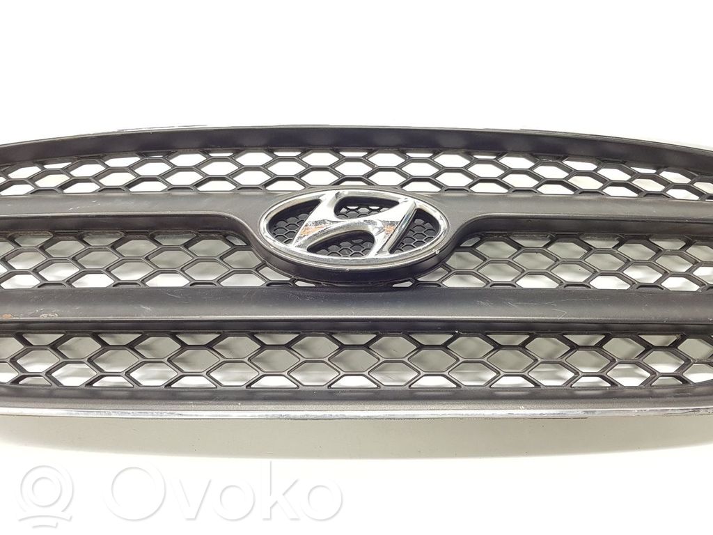 Hyundai Santa Fe Front grill 