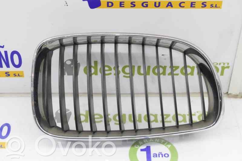 Front grill   51137179656,51137179656