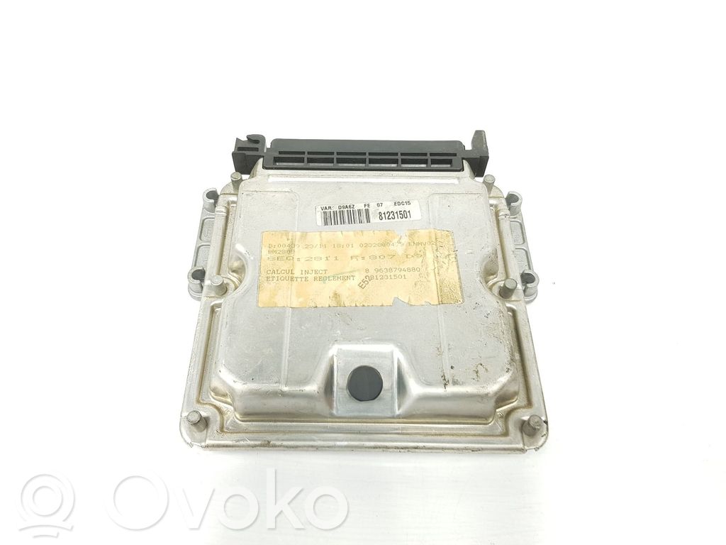 Peugeot 406 Engine control unit/module 
