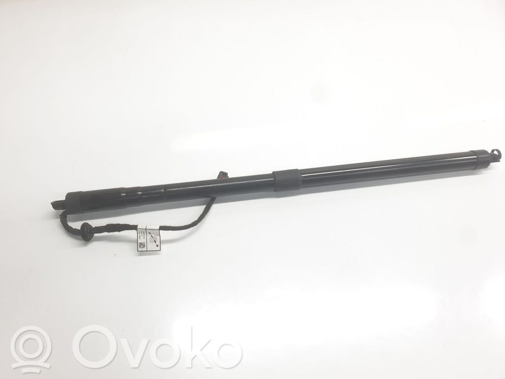 Land Rover Range Rover Sport L494 Amortyzator klapy tylnej bagażnika 
