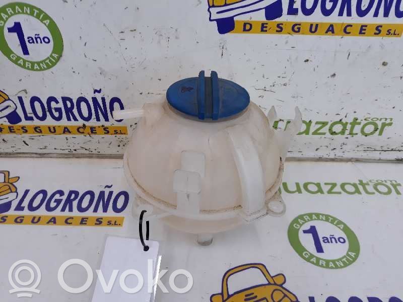 Audi A3 S3 8P Vas expansiune/rezervor lichid de răcire
