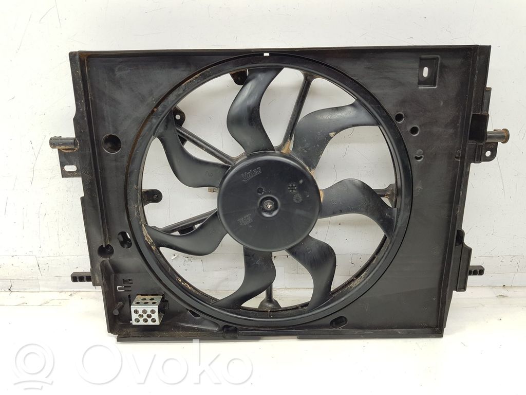 Elektrolüfter   214810845R,214810845R