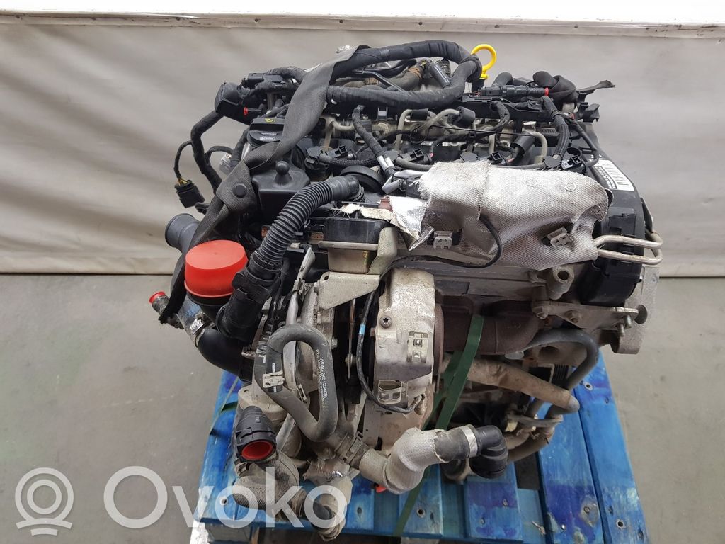 Variklis   DFSD,04L100090F