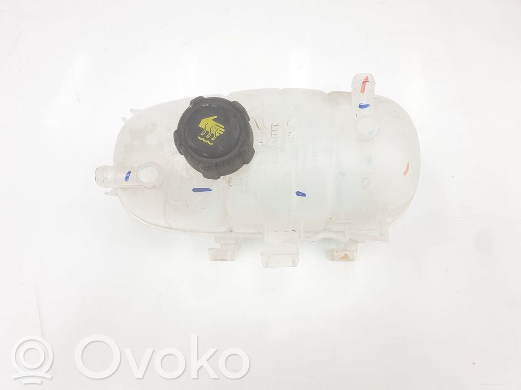 Renault Trafic III (X82) Serbatoio di compensazione del liquido refrigerante/vaschetta 