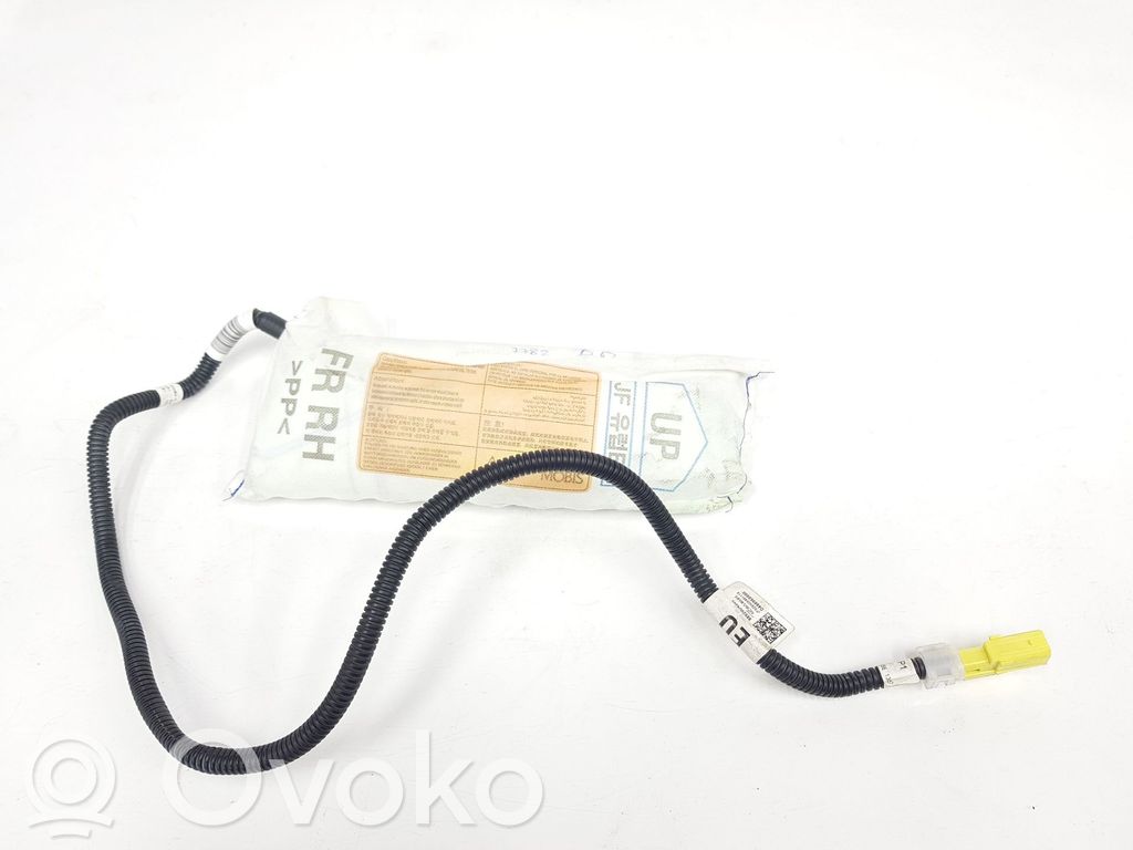 Airbag lateral   88920D4300,88920D4300