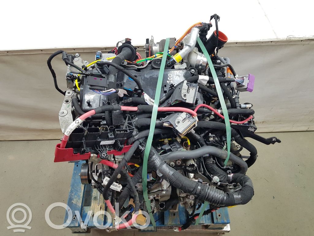 Renault Trafic III (X82) Motor 