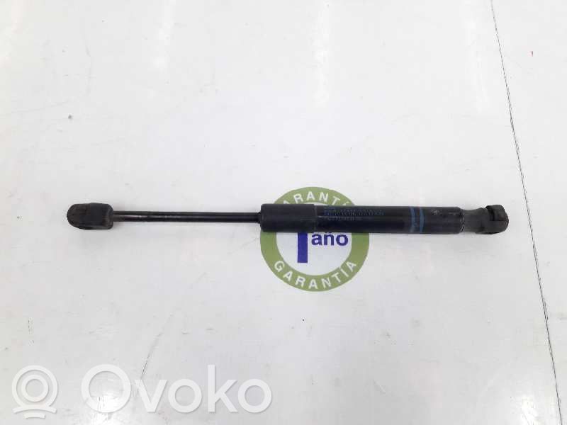 BMW 1 F20 F21 Ammortizzatore portellone anteriore/cofano