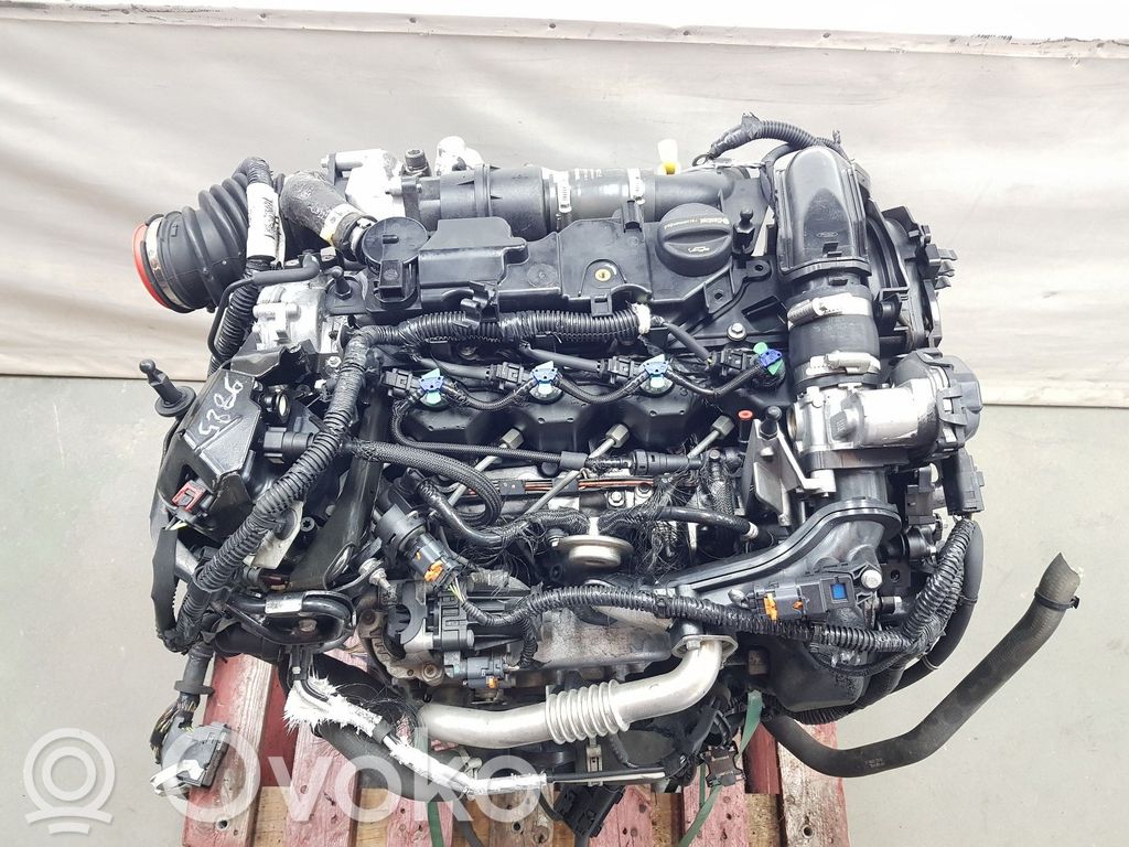 Ford Transit -  Tourneo Connect Silnik 