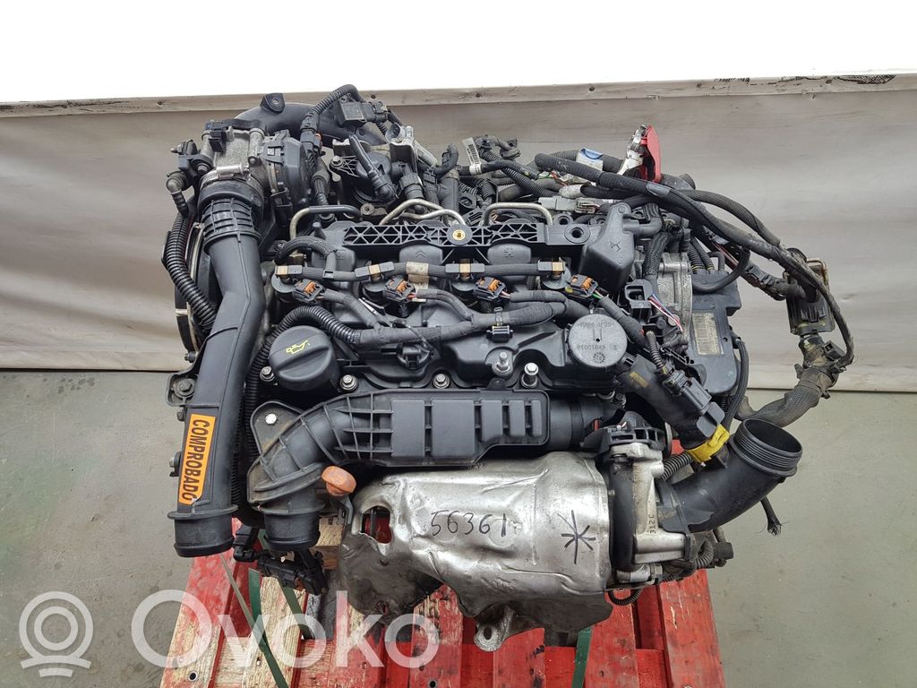 Citroen Berlingo Motor 