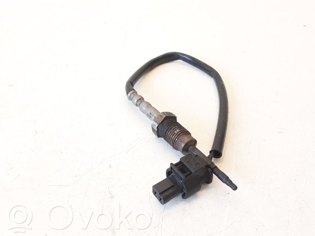 Abgastemperatursensor   7805607,012656001790