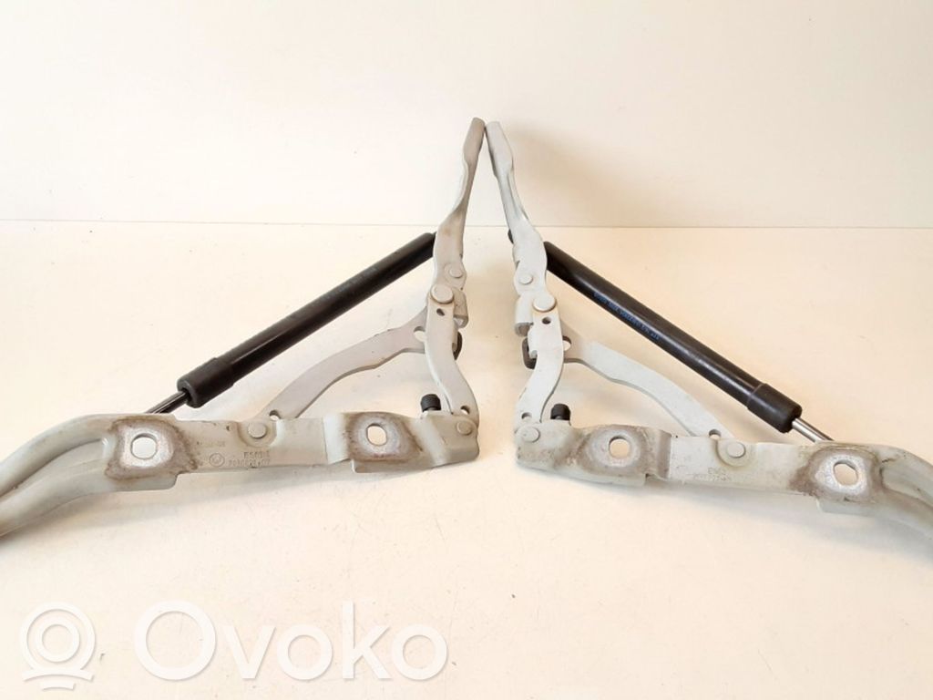 Tailgate/trunk/boot hinge   7060627,7060628,706062707