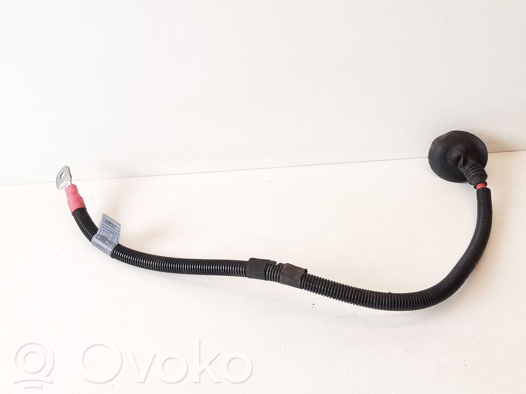 BMW X5 E53 Otros cableados 