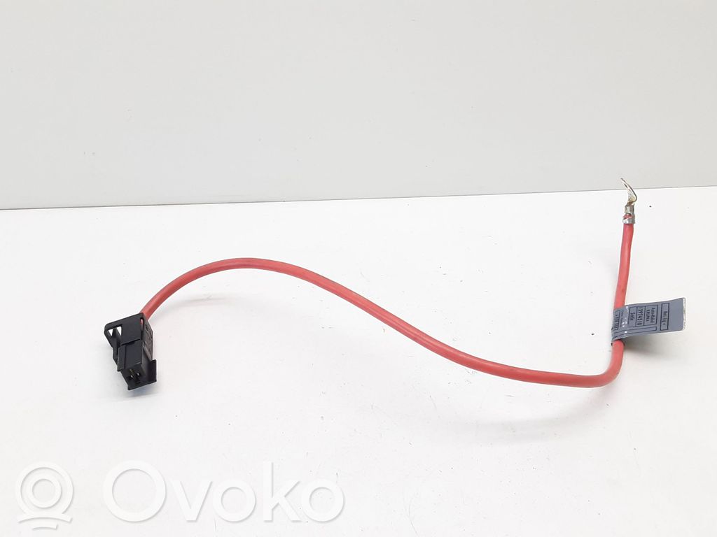 Cable positivo (batería)   6925170,61136925170