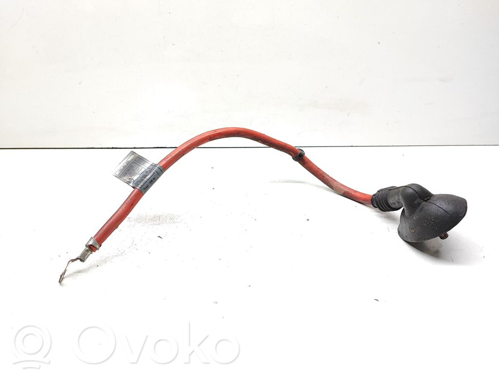 Pluskabel Batterie   6910539