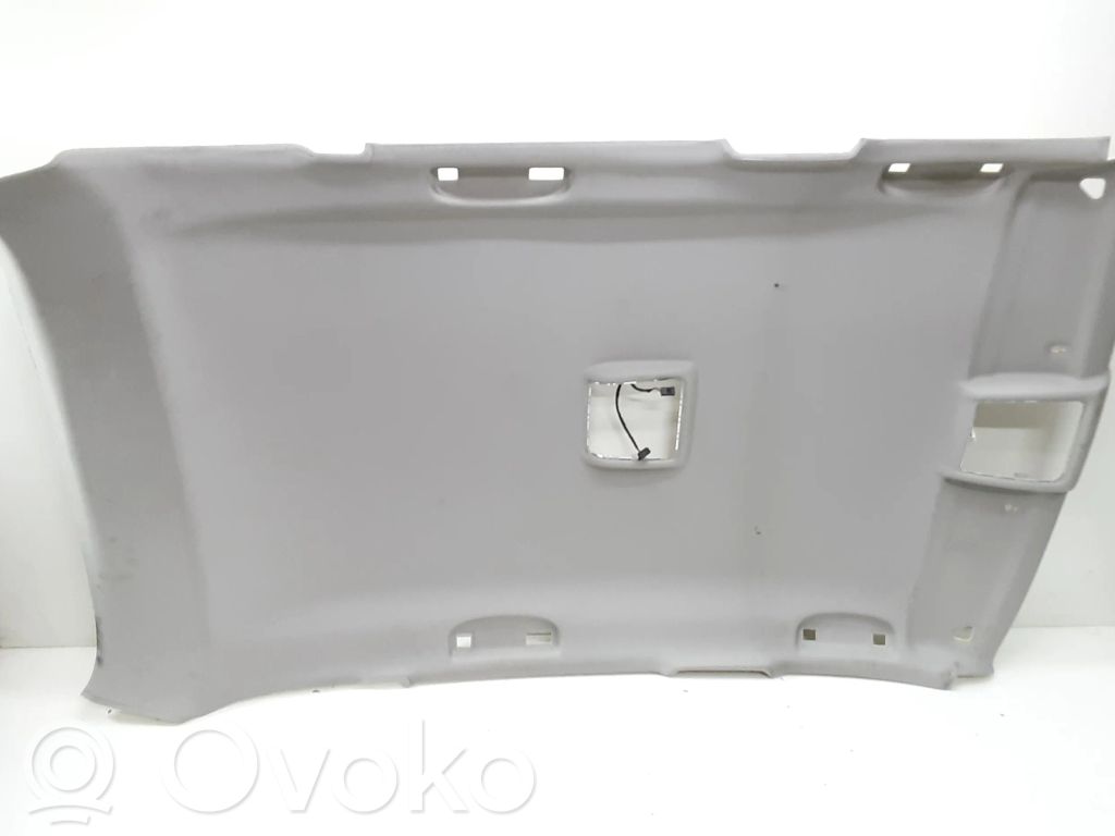 BMW X1 E84 Headlining 
