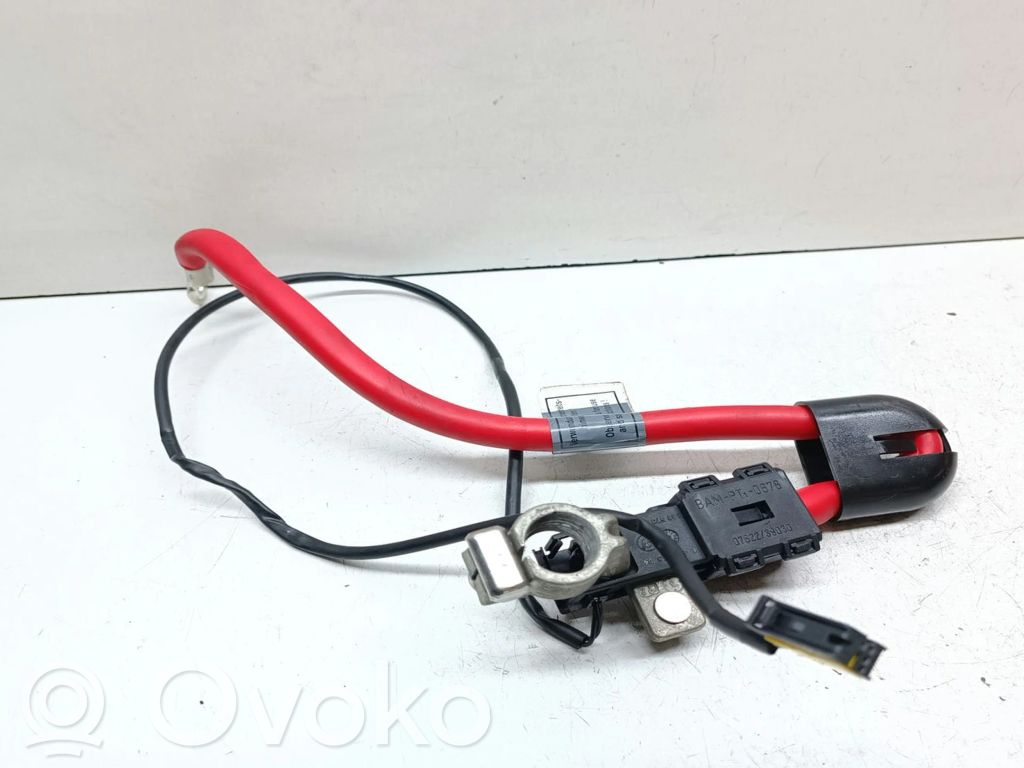 Câble de batterie positif   6908745