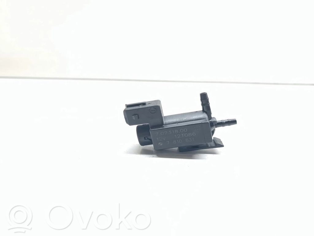 Vakuuminis vožtuvas   7810831,70231800