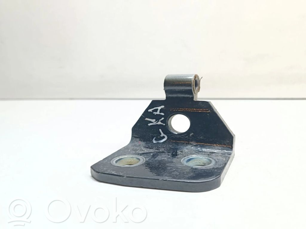 Rear door lower hinge