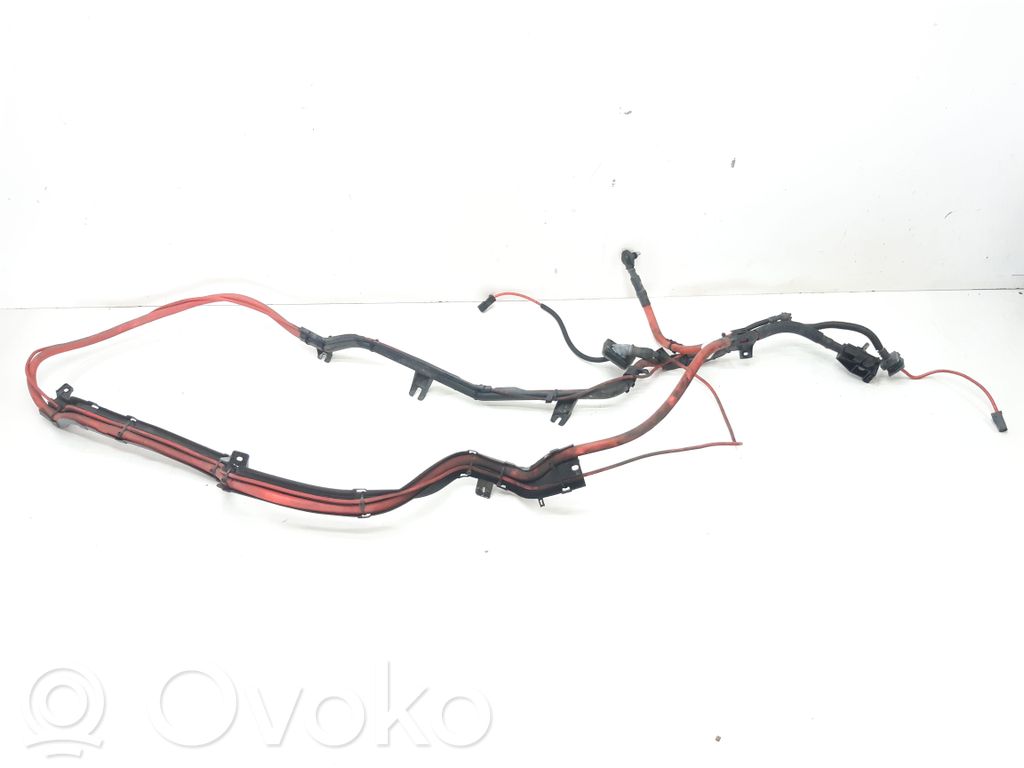 BMW X5 E70 Pliusinis laidas (akumuliatoriaus) 