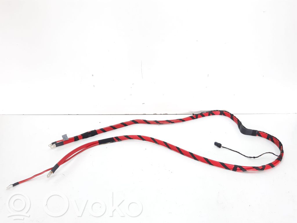 Positive cable (battery)   6926795