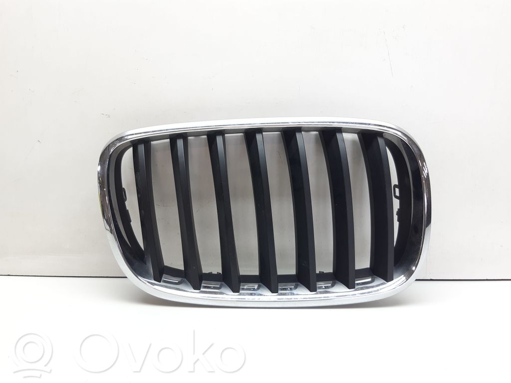 BMW X5 E70 Front grill 