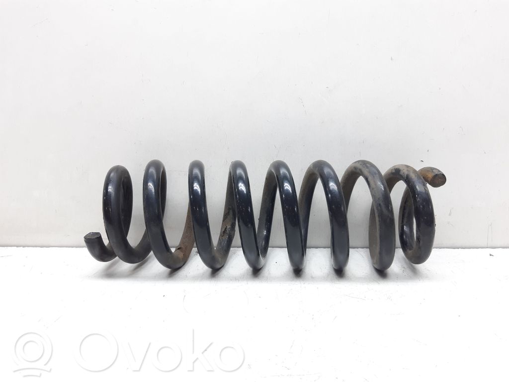 Rear coil spring