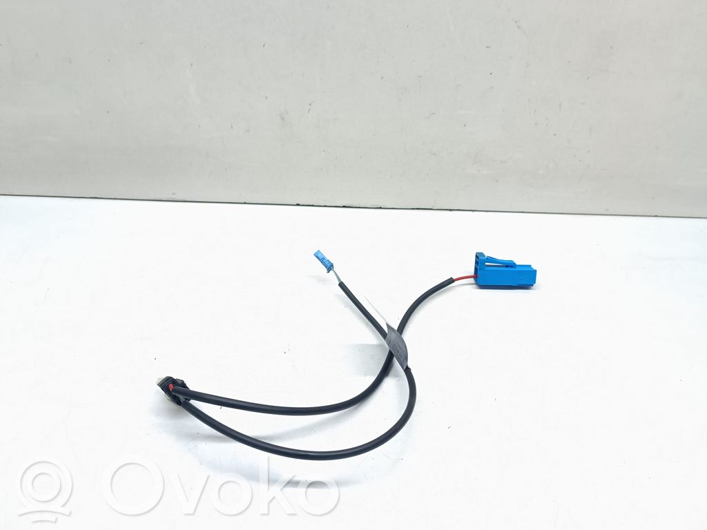 Câble de batterie positif   9123571