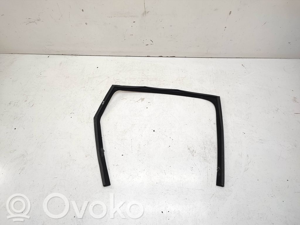 Land Rover Range Rover Sport L494 Gummidichtung Fenster Scheibe Tür hinten 