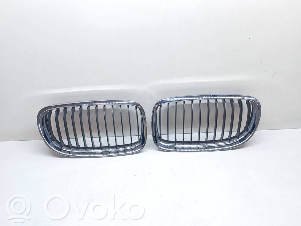 Front grill   7201968,7201967