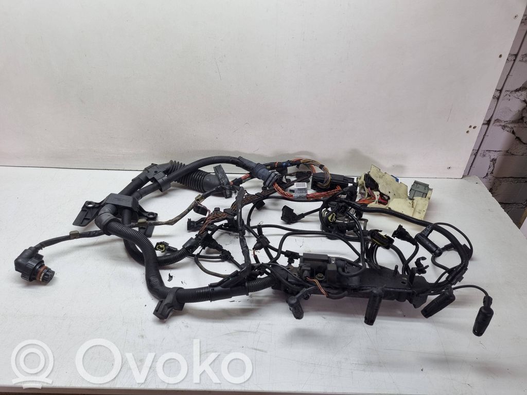 BMW X5 E53 Cablaj motor 