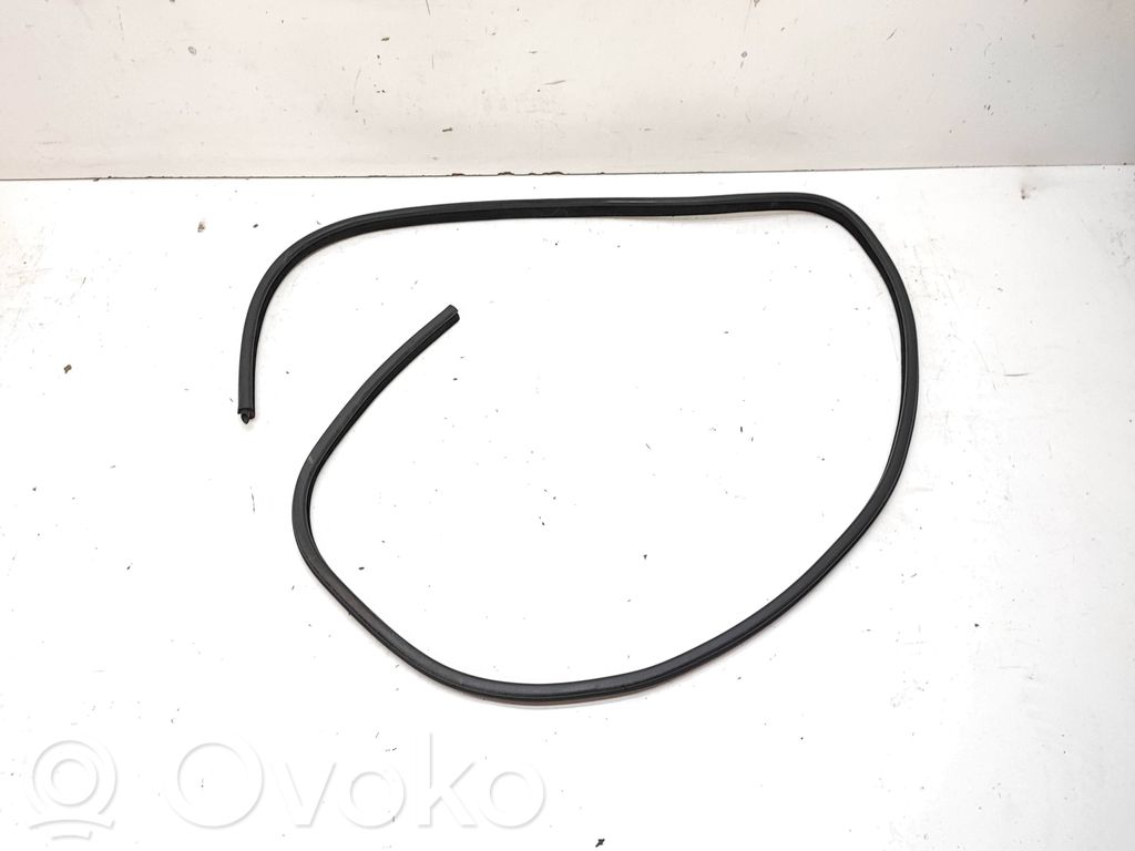 BMW 3 E90 E91 Front door rubber seal