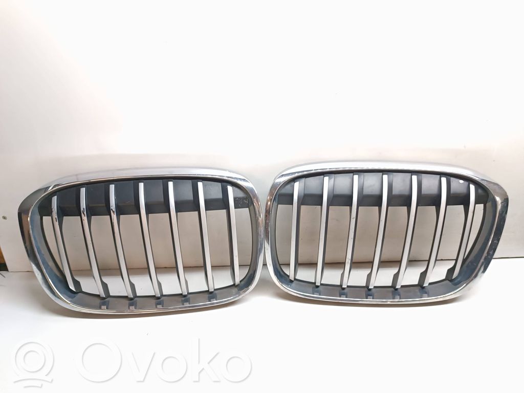 BMW X1 F48 F49 Rejilla superior del radiador del parachoques delantero