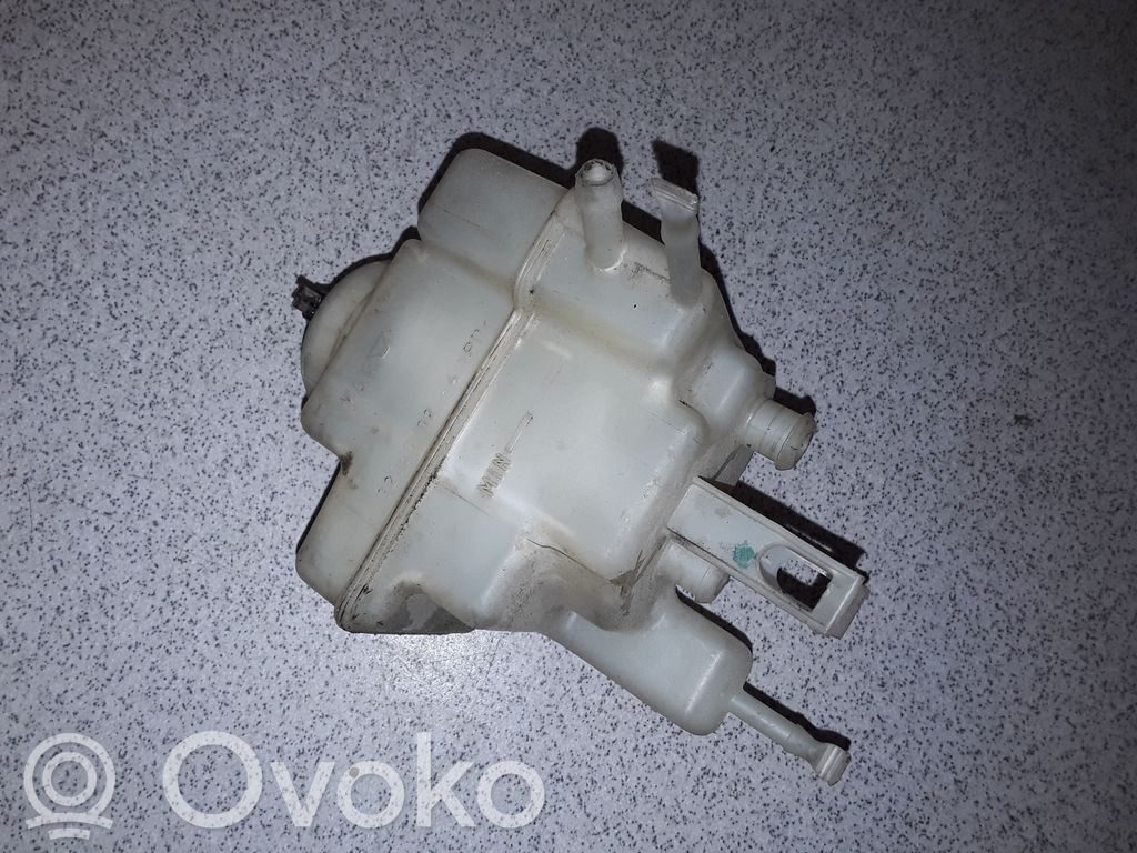BMW 5 E39 Brake fluid reservoir 