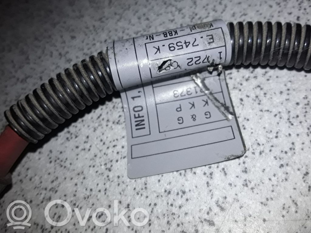 BMW 3 E46 Cables (alternador) 