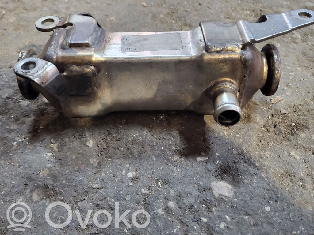 BMW 5 E39 EGR aušintuvas 