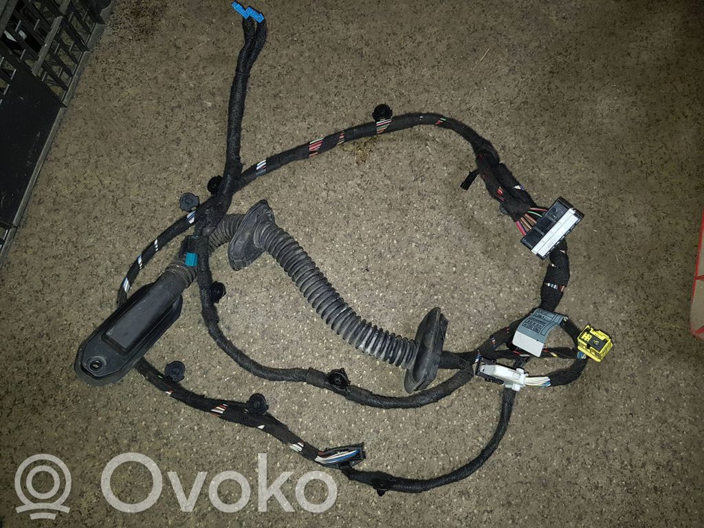 BMW 7 E65 E66 Front door wiring loom 