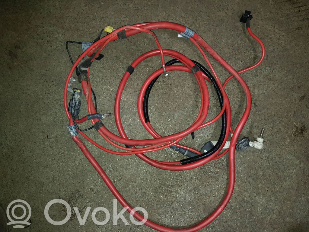 BMW 5 E39 Pliusinis laidas (akumuliatoriaus) 