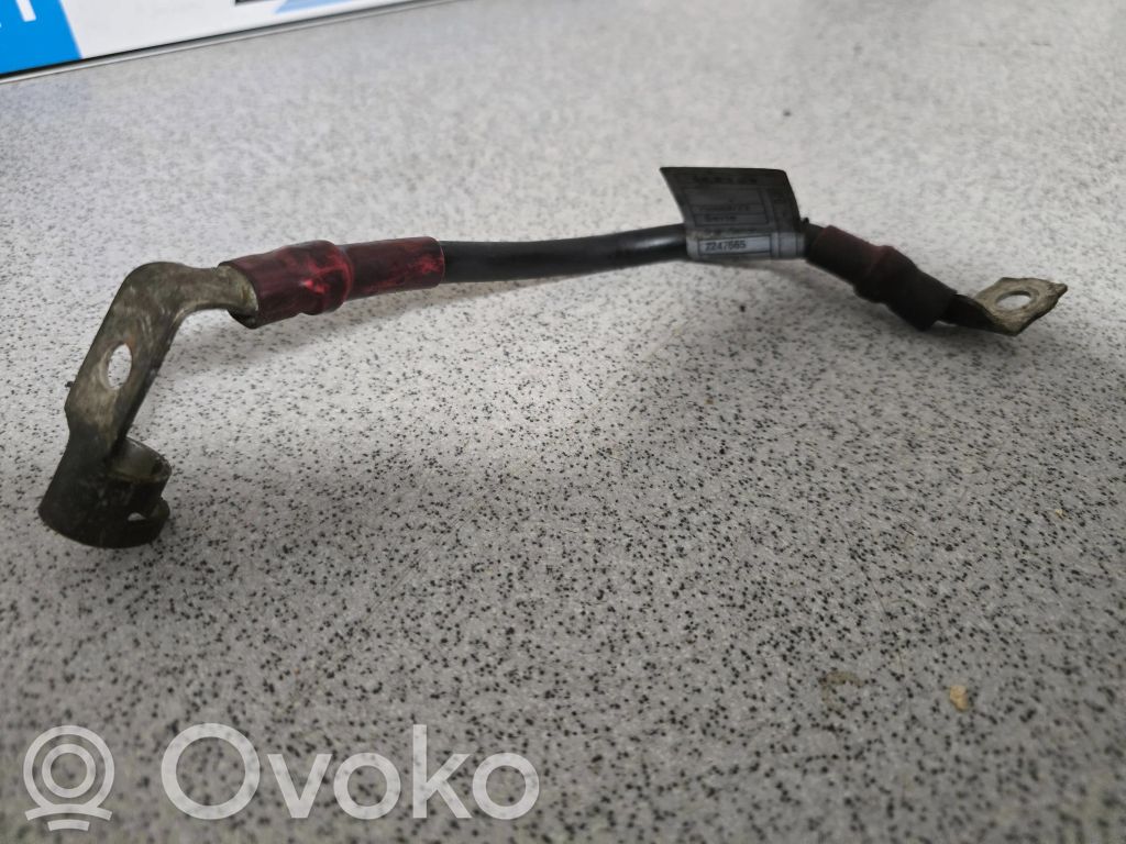 Plusa vads (akumulatora)   759008