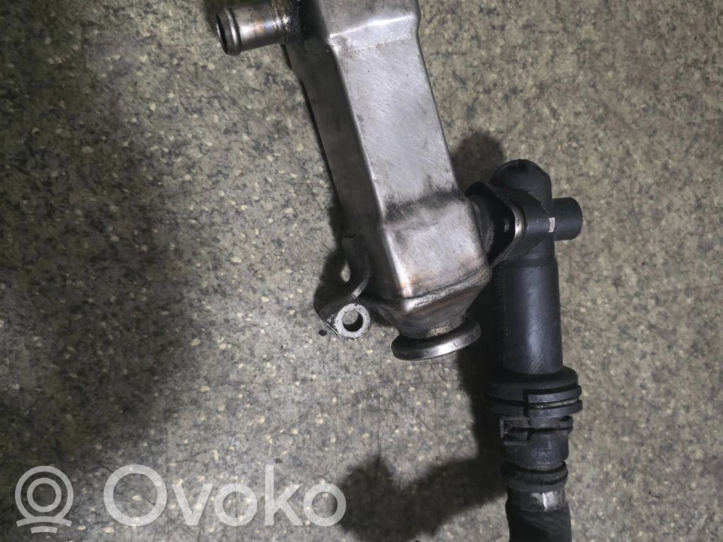 BMW 5 E39 Refrigerador de la válvula EGR 