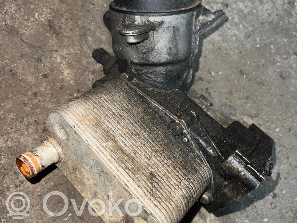 Engine oil radiator   2247204,8792145,47006,20203