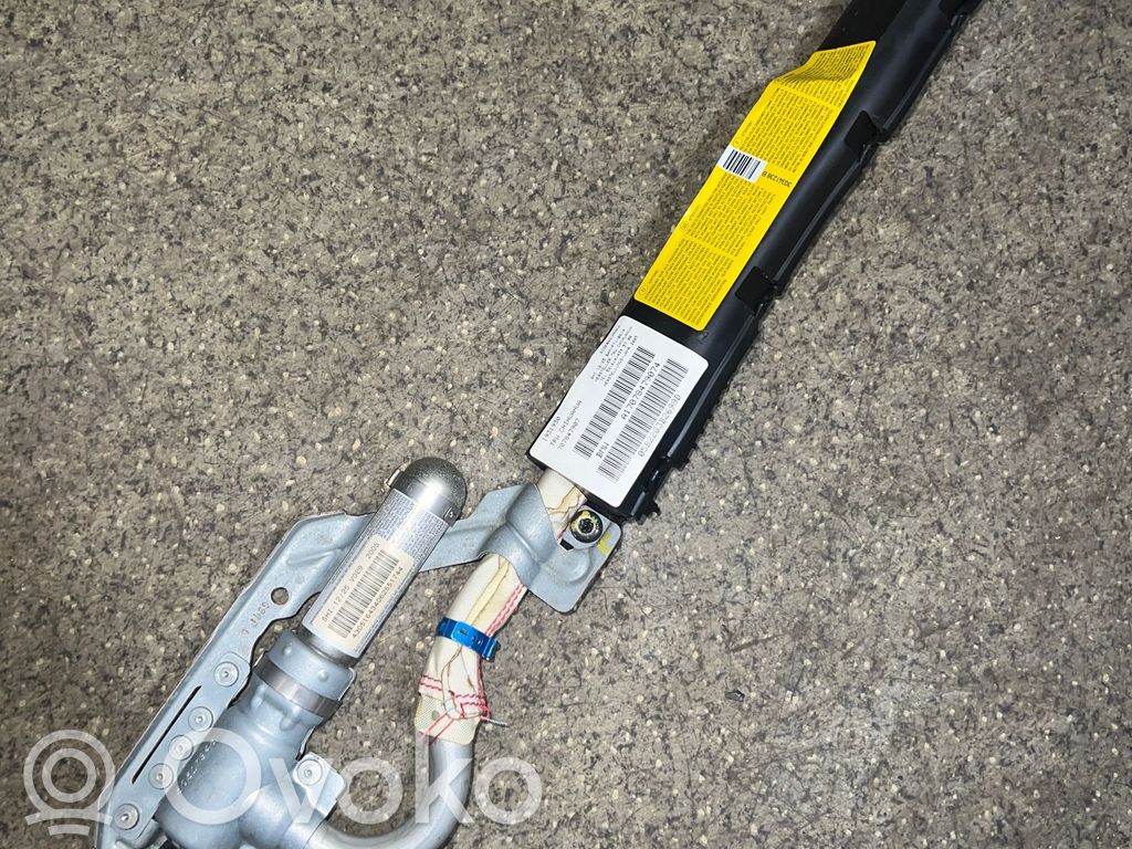 BMW X5 E53 Airbag del techo 