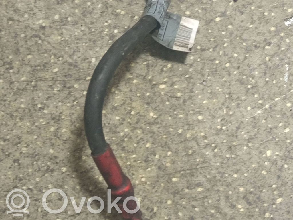 Positive cable (battery)   2247666,E0265LD,224766C