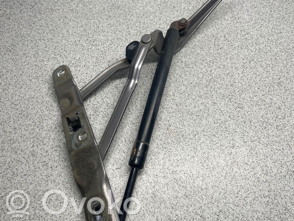 Tailgate/trunk/boot hinge   8159397