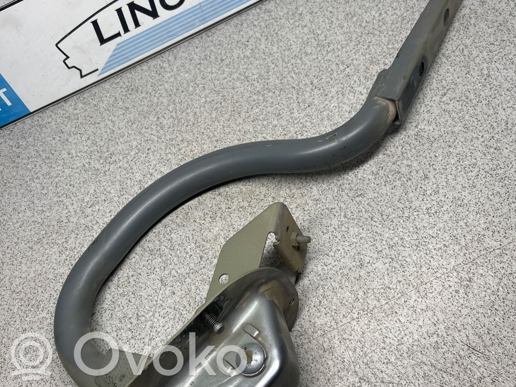 Tailgate/trunk/boot hinge   7034246