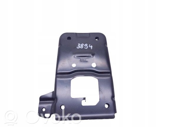 Front side member   3894,5874161M00